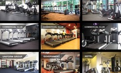 Elevate Your Fitness Journey with Premium Gym Fitness Equipment