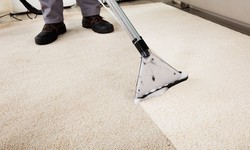 Choose The Professional Team For Carpet Cleaning San Marcos