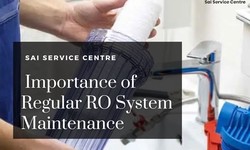 The Importance of Regular RO System Maintenance: Ensuring Clean and Healthy Water