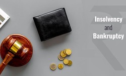 The Crucial Role of Insolvency Lawyers in Business Recovery