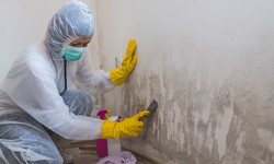 Comprehensive Mold Inspection Services in Mission with Corpa Property Inspection
