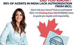 Navigating Immigration to Canada: Your Guide to CW Immigration, Chandigarh