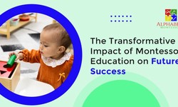 The Transformative Impact of Montessori Education on Future Success