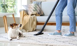 The Role of Carpet Cleaning in Improving Indoor Air Quality