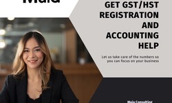 The important  Role of Payroll Services and GST/HST Registration in Businesses