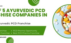 Exploring the Top 10 Ayurvedic PCD Franchise in India