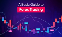 A Basic Guide to Forex Trading