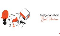 Best Practices for Software Budget Transparency & Analysis