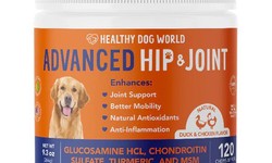 Choosing the Right Arthritis Supplements for Your Dog!