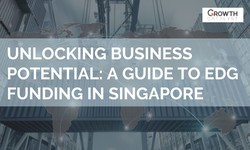Unlocking Business Potential: A Guide to EDG Funding in Singapore