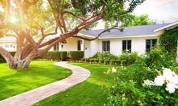 Dealing with Patchy Grass: Tips for Achieving a Lush, Uniform Lawn