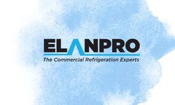 Key Factors to Look for when Investing in the Best Laboratory Refrigerators