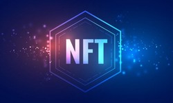 Breaking Ground: Launching Your Own NFT Exchange Platform