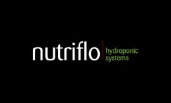 Hydroponics Kits: Revolutionizing Home Farming for Sustainable Living