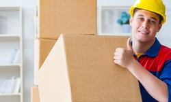 Top 10 Tips for Choosing the Best Removalists in Frankston