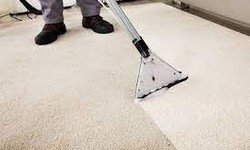 Make Your Home Shine: Try Henderson's Carpet Cleaning Magic