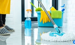 Transform Your Home with Professional Carpet and Tile/Grout Cleaning