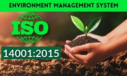 Who Can Help In Claiming ISO 14001:2015 Certification In Kosovo?