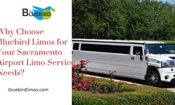 Why Choose Bluebird Limos for Your Sacramento Airport Limo Service Needs?