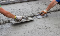 How Pests Can Damage Your Concrete: Best Concrete Repair