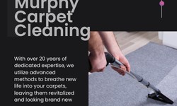 Carpet Cleaning Artarmon: Enhancing Comfort and Hygiene