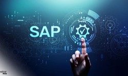 What are the key differences between Tally and SAP in terms of functionality and suitability for various business sizes?