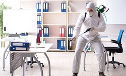 Enhancing Health Care Environments with Kreshco Pest Control Services: