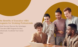 The Benefits of Executive MBA Programs for Working Professionals