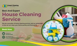 The Definitive Approach to Upholstery Cleaning Services in Lara