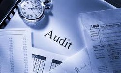 Navigating Regulatory Terrain: Audit Firm Support in Dubai