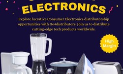 What You Need to Know to Launch a Successful Consumer Electronics Distributorship?