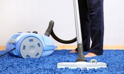 Navigating Carpet Cleaning Options in NYC: What You Need to Know