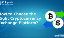 How to choose the right cryptocurrency exchange platform?