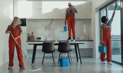 Hiring a House Cleaning Company Post Renovation: Here’s Why!