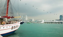 Experience Luxury and Tradition: Marina Dhow Cruise