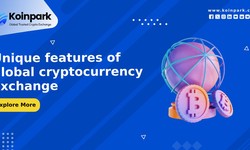 Unique features of global cryptocurrency exchange