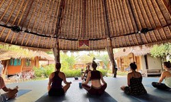 A Deep Dive into Bali Yoga Retreats Paradises