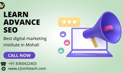 Best digital marketing course in Mohali with 100% Job placement