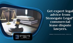 The Role of Debt Recovery Lawyers