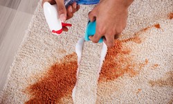 Reviving Your Carpet: Professional Techniques for Restoring Old and Damaged Carpets