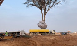 The Pioneering Tree Transplanting Services Company in Saudi Arabia