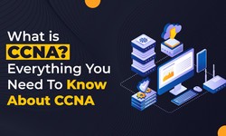 What is CCNA? Everything You Need To Know About CCNA