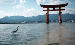 Discovering Japan: Must-See Destinations for Every Traveler