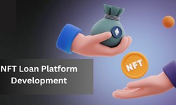 Unlocking Financial Frontiers: NFT Loan Marketplace Development and the Confluence of NFTs and DeFi