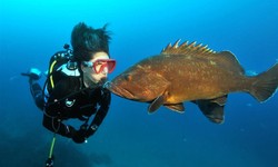 Mermaid Life: How to Get the Most Out of Mallorca's Scuba Diving