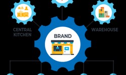 Restaurant software Development Company in Lucknow