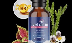 EyeFortin Official Site