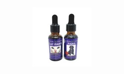 CBD Oils for Pets: Understanding the Benefits and Considerations