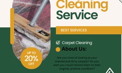 Eco-Friendly Elegance: GS Murphy's Green Carpet Cleaning Innovations