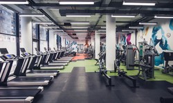 Top 6 Most Popular Gyms in India 2024